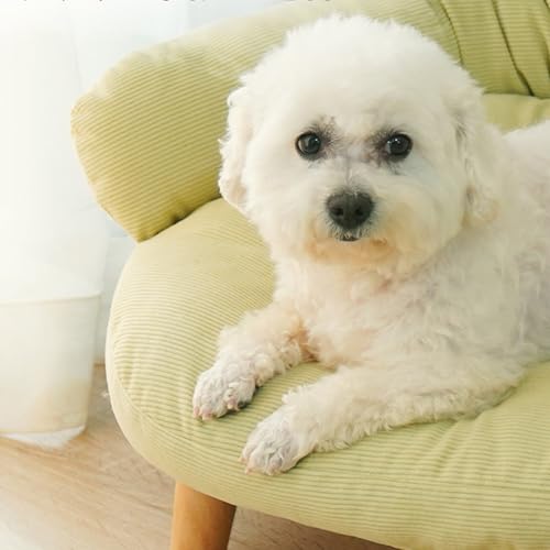 Cama de silla de sofá de gato, cama de mascotas elevada, cama de taburete de perros de gato con patas de madera resistentes, cama para mascotas de lujo, sofá suave y suave para ropa para ropa