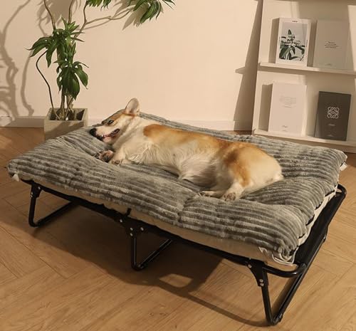Genérico Kennel de Cama para Perros para Todas Las Estaciones, Cama de Campamento para Perros, Cama de Perro Grande y de tamaño Mediano en Cama Fuera del Suelo, 16-22 cm del Suelo
