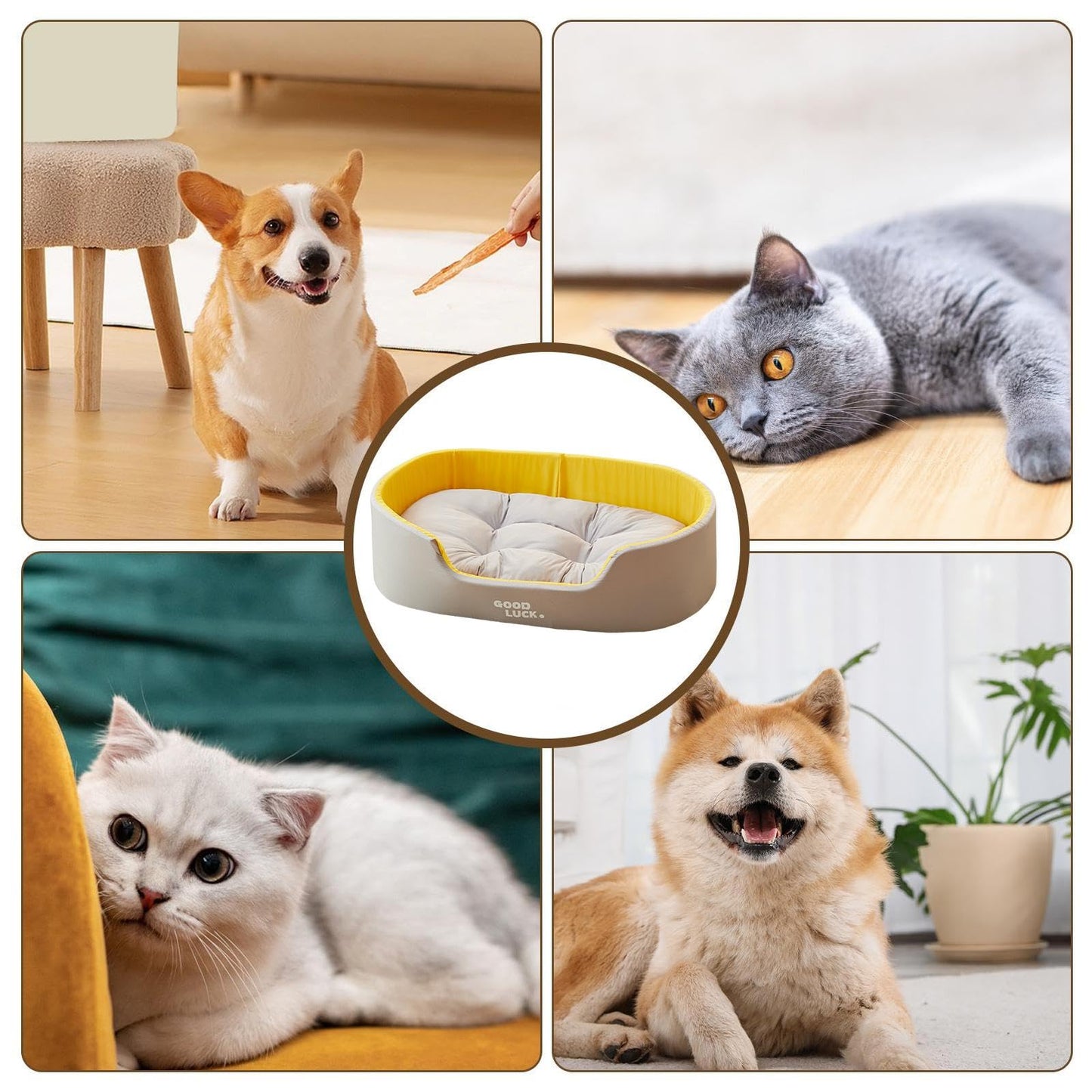 Sofá cama para perros,Cama para perros con laterales | Sofá cama para cachorros,Almohadilla para dormir lavable para gatos, cálido desmontable, cama con cojín para mascotas de doble cara para las