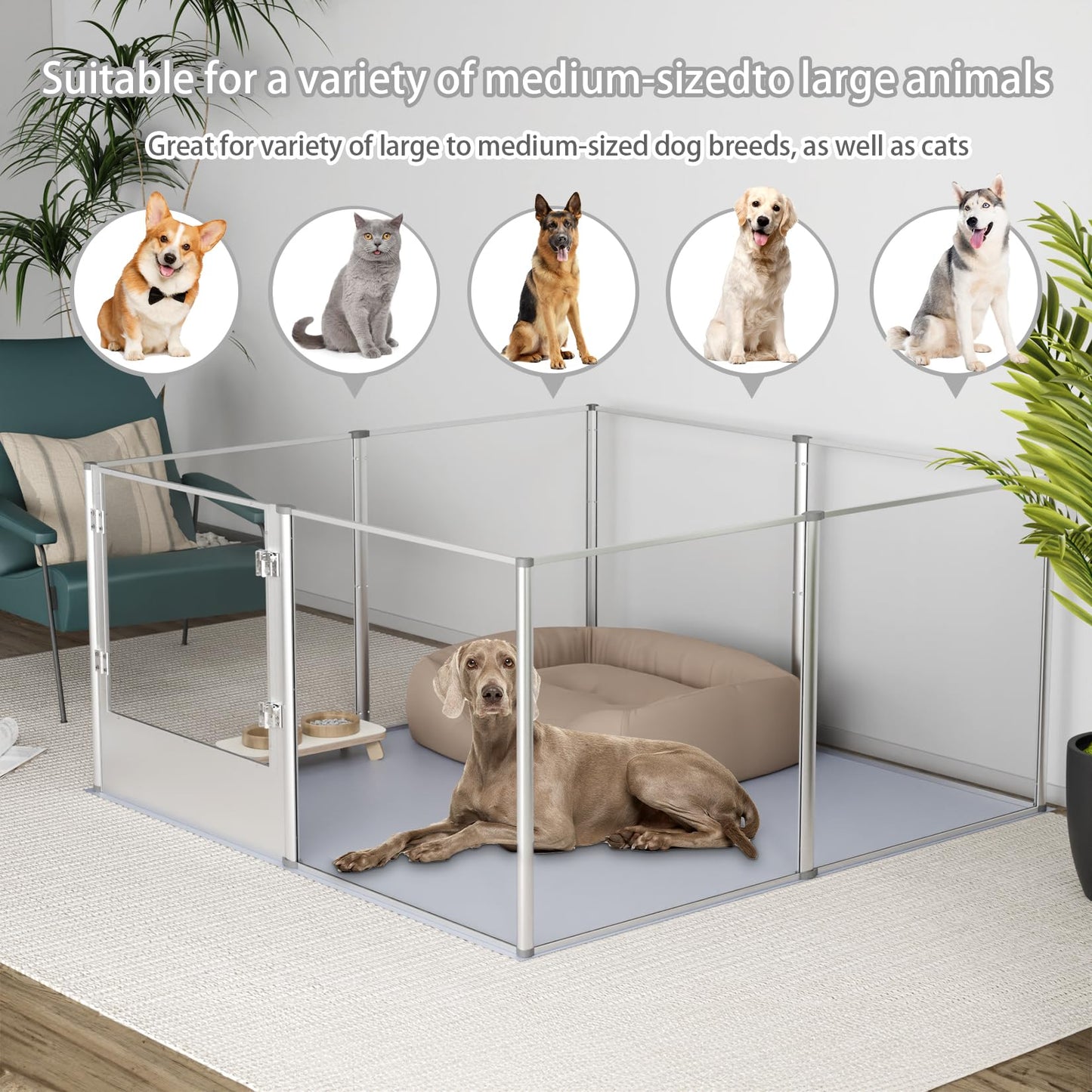 BingoPaw Parque para Perros Grandes Transparente Corral para Perros de Acrílico Espesado 132x132x80.5cm Caja de Parto con Suelo Impermeable de PVC Marco de Alumnio y Puerta Valla Interior